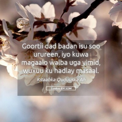 Picture 05 - Luukos 8:4 SOM - Goortii dad badan isu soo urureen, iyo kuwa - Bible Verse Picture