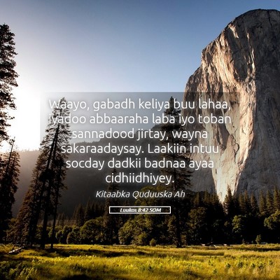 Picture 05 - Luukos 8:42 SOM - Waayo, gabadh keliya buu lahaa, iyadoo abbaaraha - Bible Verse Picture