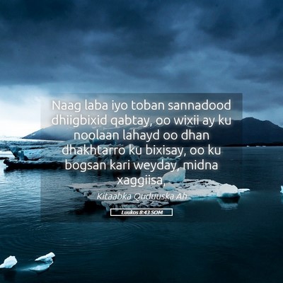 Picture 05 - Luukos 8:43 SOM - Naag laba iyo toban sannadood dhiigbixid qabtay, - Bible Verse Picture