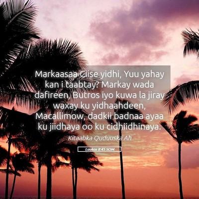 Picture 05 - Luukos 8:45 SOM - Markaasaa Ciise yidhi, Yuu yahay kan i taabtay? - Bible Verse Picture