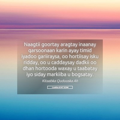 Picture 05 - Luukos 8:47 SOM - Naagtii goortay aragtay inaanay qarsoonaan karin - Bible Verse Picture