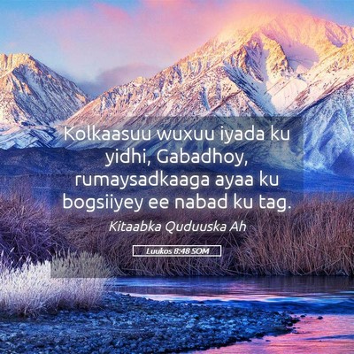 Picture 05 - Luukos 8:48 SOM - Kolkaasuu wuxuu iyada ku yidhi, Gabadhoy, - Bible Verse Picture