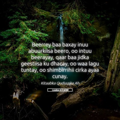 Picture 05 - Luukos 8:5 SOM - Beerrey baa baxay inuu abuurkiisa beero, oo intuu - Bible Verse Picture