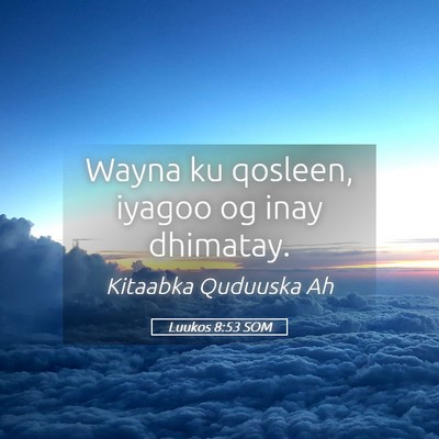 Picture 05 - Luukos 8:53 SOM - Wayna ku qosleen, iyagoo og inay - Bible Verse Picture