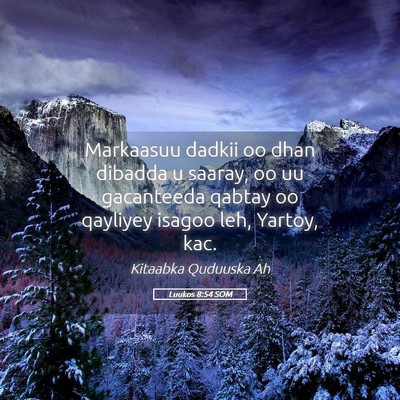 Picture 05 - Luukos 8:54 SOM - Markaasuu dadkii oo dhan dibadda u saaray, oo uu - Bible Verse Picture