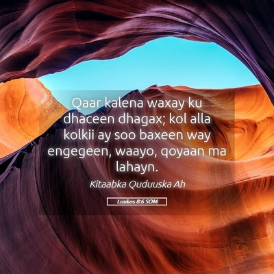 Picture 05 - Luukos 8:6 SOM - Qaar kalena waxay ku dhaceen dhagax; kol alla - Bible Verse Picture