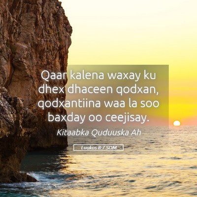 Picture 05 - Luukos 8:7 SOM - Qaar kalena waxay ku dhex dhaceen qodxan, - Bible Verse Picture