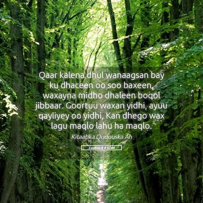 Picture 05 - Luukos 8:8 SOM - Qaar kalena dhul wanaagsan bay ku dhaceen oo soo - Bible Verse Picture