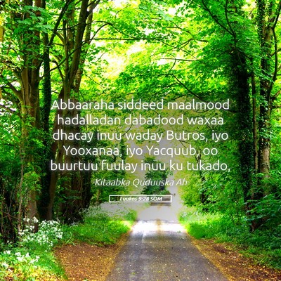 Picture 05 - Luukos 9:28 SOM - Abbaaraha siddeed maalmood hadalladan dabadood - Bible Verse Picture
