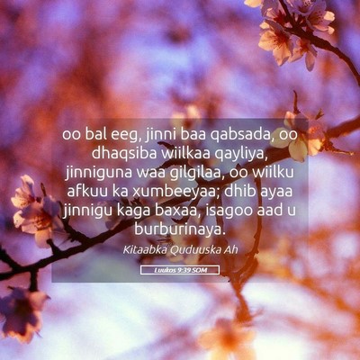 Picture 05 - Luukos 9:39 SOM - oo bal eeg, jinni baa qabsada, oo dhaqsiba - Bible Verse Picture