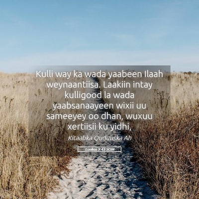 Picture 05 - Luukos 9:43 SOM - Kulli way ka wada yaabeen Ilaah weynaantiisa. - Bible Verse Picture