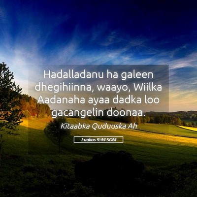 Picture 05 - Luukos 9:44 SOM - Hadalladanu ha galeen dhegihiinna, waayo, Wiilka - Bible Verse Picture