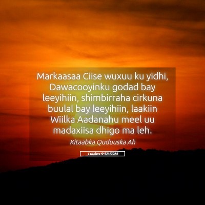 Picture 05 - Luukos 9:58 SOM - Markaasaa Ciise wuxuu ku yidhi, Dawacooyinku - Bible Verse Picture