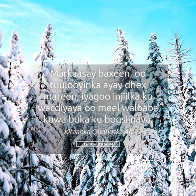 Picture 05 - Luukos 9:6 SOM - Markaasay baxeen, oo tuulooyinka ayay dhex - Bible Verse Picture