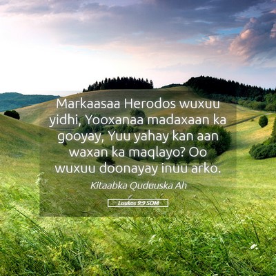 Picture 05 - Luukos 9:9 SOM - Markaasaa Herodos wuxuu yidhi, Yooxanaa madaxaan - Bible Verse Picture