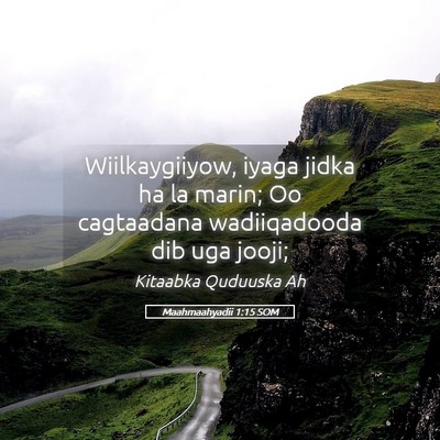 Picture 05 - Maahmaahyadii 1:15 SOM - Wiilkaygiiyow, iyaga jidka ha la marin; Oo - Bible Verse Picture