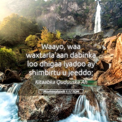 Picture 05 - Maahmaahyadii 1:17 SOM - Waayo, waa waxtarla'aan dabinka loo dhigaa Iyadoo - Bible Verse Picture
