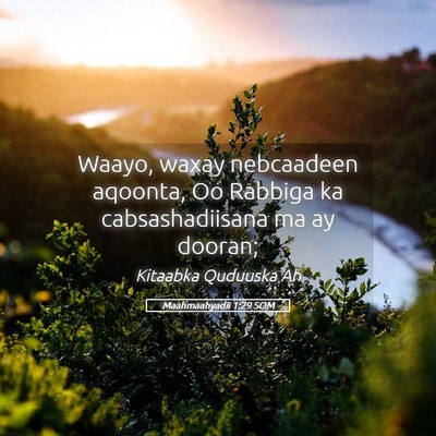 Picture 05 - Maahmaahyadii 1:29 SOM - Waayo, waxay nebcaadeen aqoonta, Oo Rabbiga ka - Bible Verse Picture