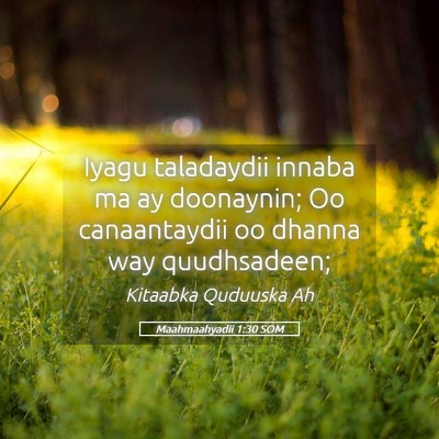 Picture 05 - Maahmaahyadii 1:30 SOM - Iyagu taladaydii innaba ma ay doonaynin; Oo - Bible Verse Picture