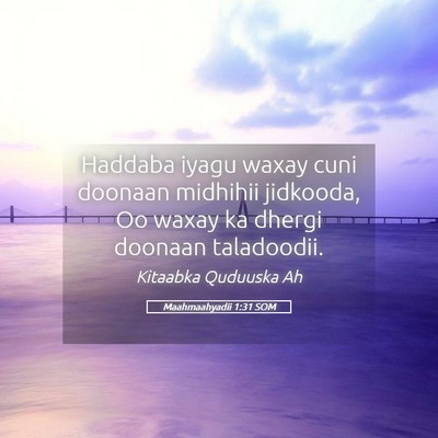 Picture 05 - Maahmaahyadii 1:31 SOM - Haddaba iyagu waxay cuni doonaan midhihii - Bible Verse Picture