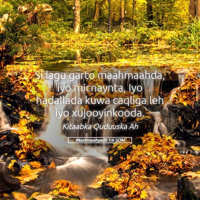 Picture 05 - Maahmaahyadii 1:6 SOM - Si lagu garto maahmaahda, iyo micnaynta, Iyo - Bible Verse Picture