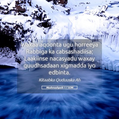 Picture 05 - Maahmaahyadii 1:7 SOM - Waxaa aqoonta ugu horreeya Rabbiga ka - Bible Verse Picture