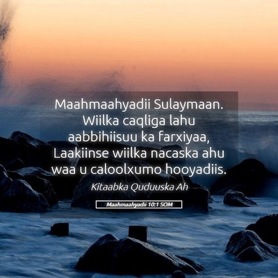 Picture 05 - Maahmaahyadii 10:1 SOM - Maahmaahyadii Sulaymaan. Wiilka caqliga lahu - Bible Verse Picture