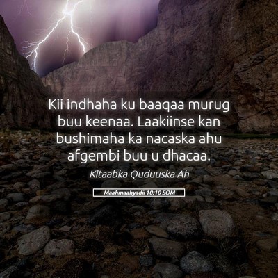Picture 05 - Maahmaahyadii 10:10 SOM - Kii indhaha ku baaqaa murug buu keenaa. Laakiinse - Bible Verse Picture
