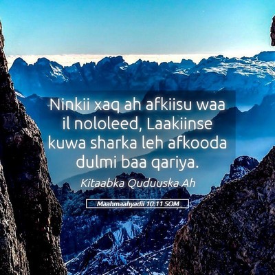 Picture 05 - Maahmaahyadii 10:11 SOM - Ninkii xaq ah afkiisu waa il nololeed, Laakiinse - Bible Verse Picture