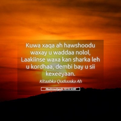 Picture 05 - Maahmaahyadii 10:16 SOM - Kuwa xaqa ah hawshoodu waxay u waddaa nolol, - Bible Verse Picture