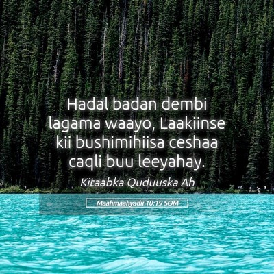 Picture 05 - Maahmaahyadii 10:19 SOM - Hadal badan dembi lagama waayo, Laakiinse kii - Bible Verse Picture