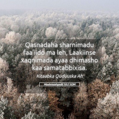 Picture 05 - Maahmaahyadii 10:2 SOM - Qasnadaha sharnimadu faa'iido ma leh, Laakiinse - Bible Verse Picture