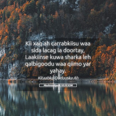 Picture 05 - Maahmaahyadii 10:20 SOM - Kii xaq ah carrabkiisu waa sida lacag la doortay, - Bible Verse Picture