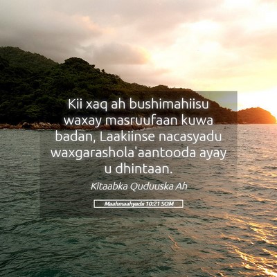 Picture 05 - Maahmaahyadii 10:21 SOM - Kii xaq ah bushimahiisu waxay masruufaan kuwa - Bible Verse Picture