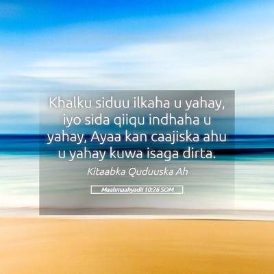 Picture 05 - Maahmaahyadii 10:26 SOM - Khalku siduu ilkaha u yahay, iyo sida qiiqu - Bible Verse Picture