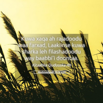 Picture 05 - Maahmaahyadii 10:28 SOM - Kuwa xaqa ah rajadoodu waa farxad, Laakiinse kuwa - Bible Verse Picture