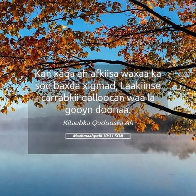 Picture 05 - Maahmaahyadii 10:31 SOM - Kan xaqa ah afkiisa waxaa ka soo baxda xigmad, - Bible Verse Picture