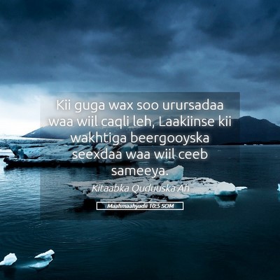Picture 05 - Maahmaahyadii 10:5 SOM - Kii guga wax soo urursadaa waa wiil caqli leh, - Bible Verse Picture