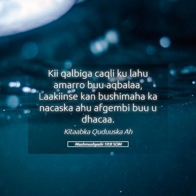 Picture 05 - Maahmaahyadii 10:8 SOM - Kii qalbiga caqli ku lahu amarro buu aqbalaa, - Bible Verse Picture