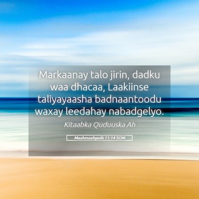 Picture 05 - Maahmaahyadii 11:14 SOM - Markaanay talo jirin, dadku waa dhacaa, Laakiinse - Bible Verse Picture
