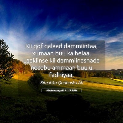 Picture 05 - Maahmaahyadii 11:15 SOM - Kii qof qalaad dammiintaa, xumaan buu ka helaa, - Bible Verse Picture