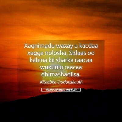 Picture 05 - Maahmaahyadii 11:19 SOM - Xaqnimadu waxay u kacdaa xagga nolosha, Sidaas oo - Bible Verse Picture