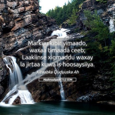 Picture 05 - Maahmaahyadii 11:2 SOM - Markuu kibir yimaado, waxaa timaada ceeb; - Bible Verse Picture