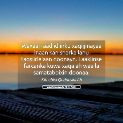Picture 05 - Maahmaahyadii 11:21 SOM - Waxaan aad idiinku xaqiijinayaa inaan kan sharka - Bible Verse Picture
