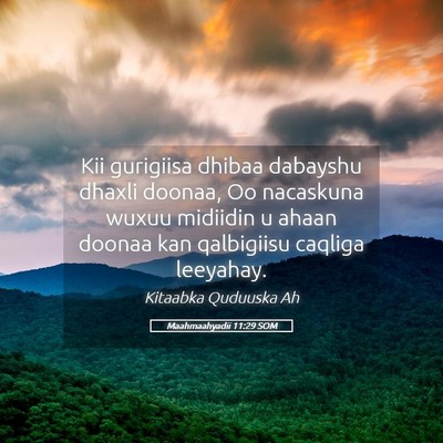 Picture 05 - Maahmaahyadii 11:29 SOM - Kii gurigiisa dhibaa dabayshu dhaxli doonaa, Oo - Bible Verse Picture
