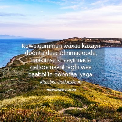 Picture 05 - Maahmaahyadii 11:3 SOM - Kuwa qumman waxaa kaxayn doonta daacadnimadooda, - Bible Verse Picture