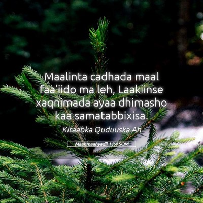 Picture 05 - Maahmaahyadii 11:4 SOM - Maalinta cadhada maal faa'iido ma leh, Laakiinse - Bible Verse Picture