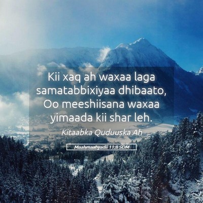 Picture 05 - Maahmaahyadii 11:8 SOM - Kii xaq ah waxaa laga samatabbixiyaa dhibaato, Oo - Bible Verse Picture