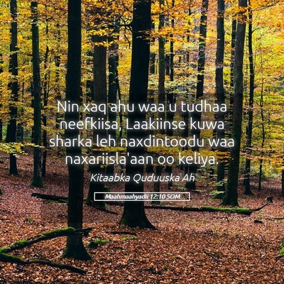 Picture 05 - Maahmaahyadii 12:10 SOM - Nin xaq ahu waa u tudhaa neefkiisa, Laakiinse - Bible Verse Picture