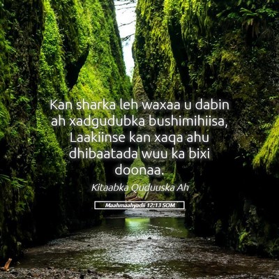 Picture 05 - Maahmaahyadii 12:13 SOM - Kan sharka leh waxaa u dabin ah xadgudubka - Bible Verse Picture